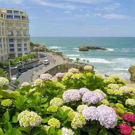Park View Apartman *